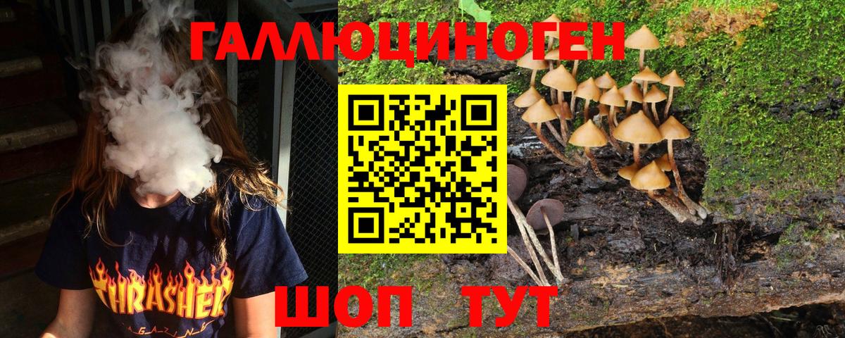 Рязань  сколько стоит  Псилоцибиновые грибы Cubensis  Вход с VPN  Псилоцибиновые грибы Psilocybe 